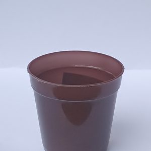 Okrugla saksija za kaktuse i sukulente Ø5