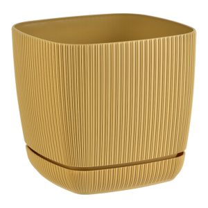 Cetvrtasta saksija "Trska"